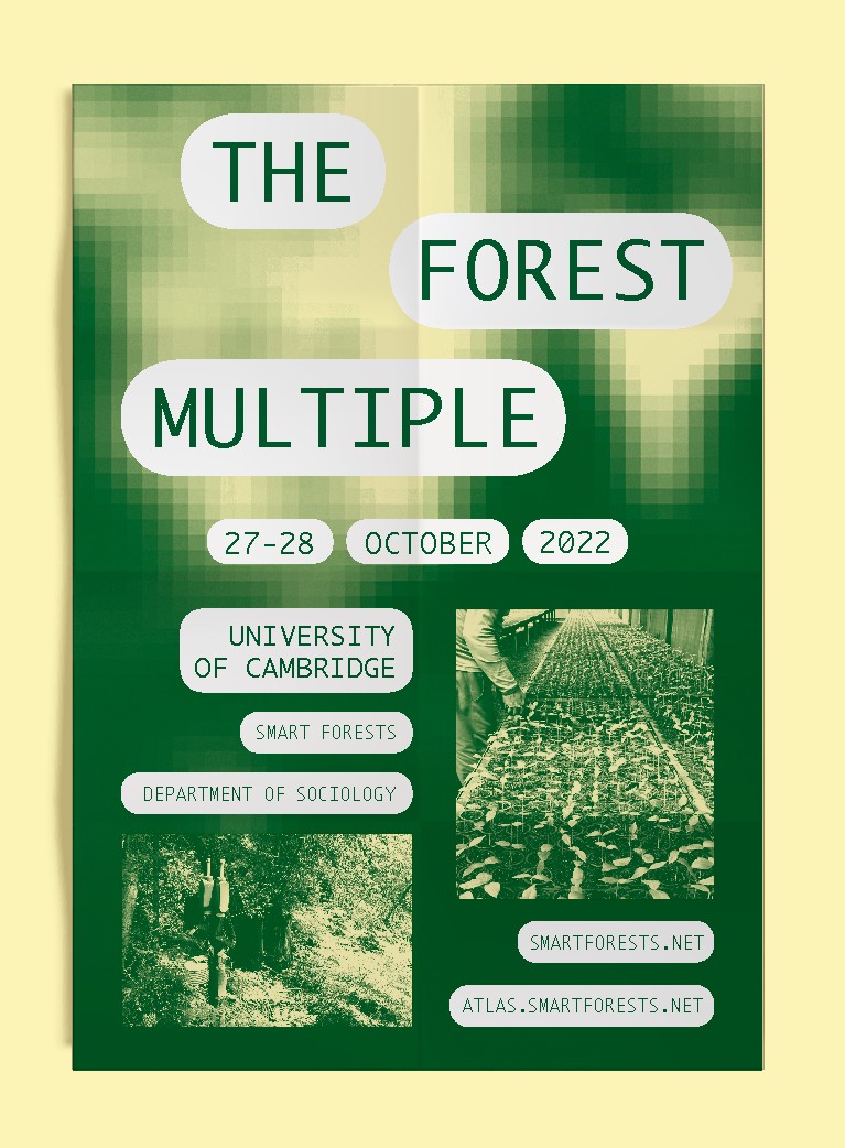 the-forest-multiple-02