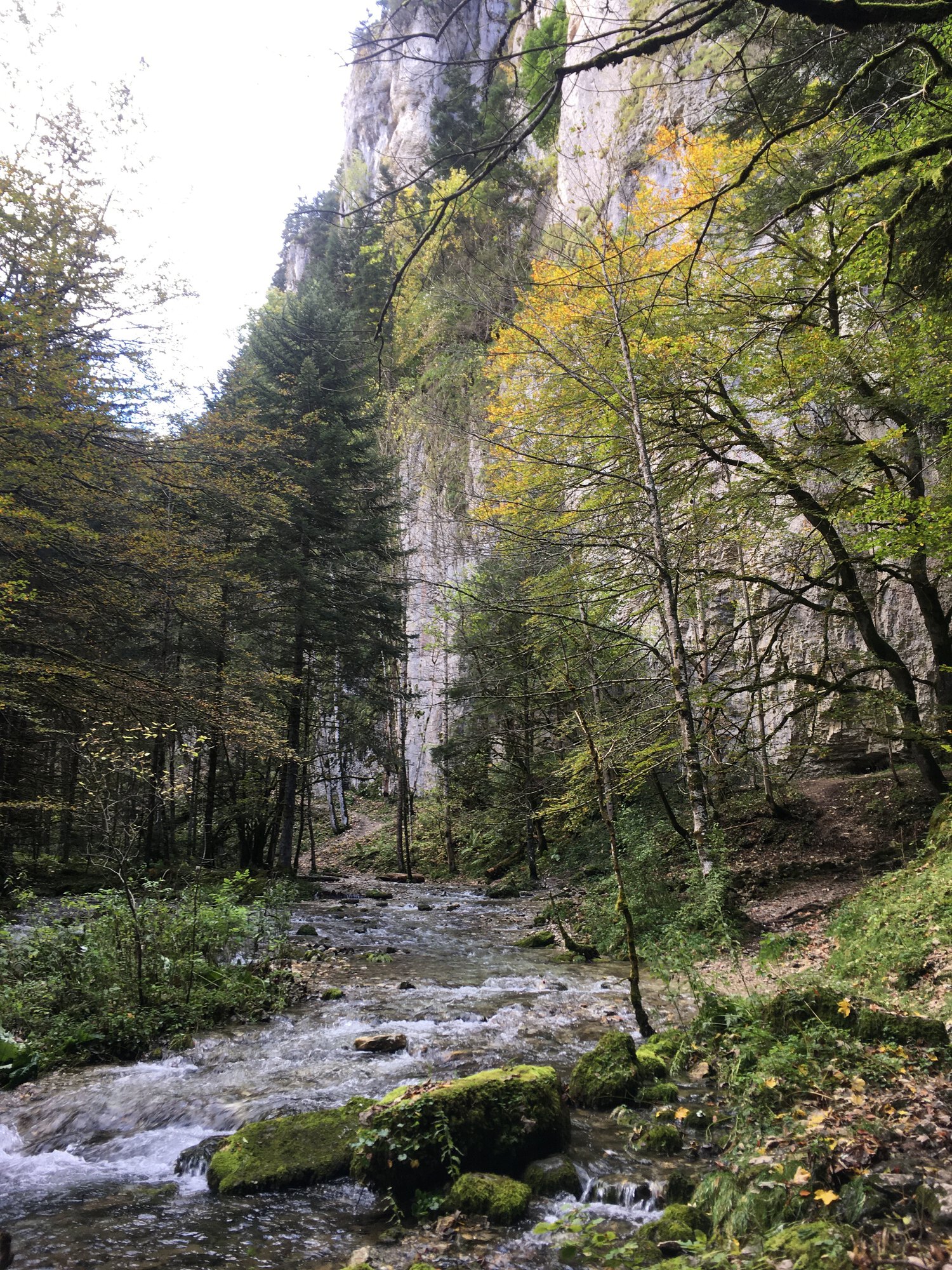 Le Bruyant et falaises de calcaires